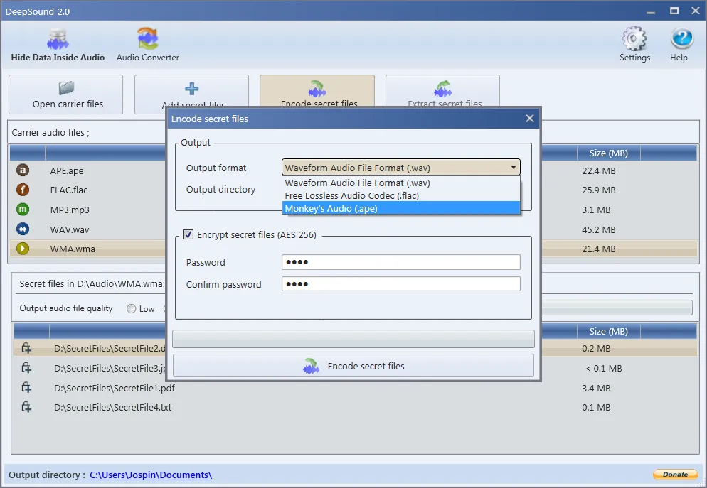 Screenshot of DeepSound.